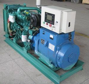 岭东发电机出租